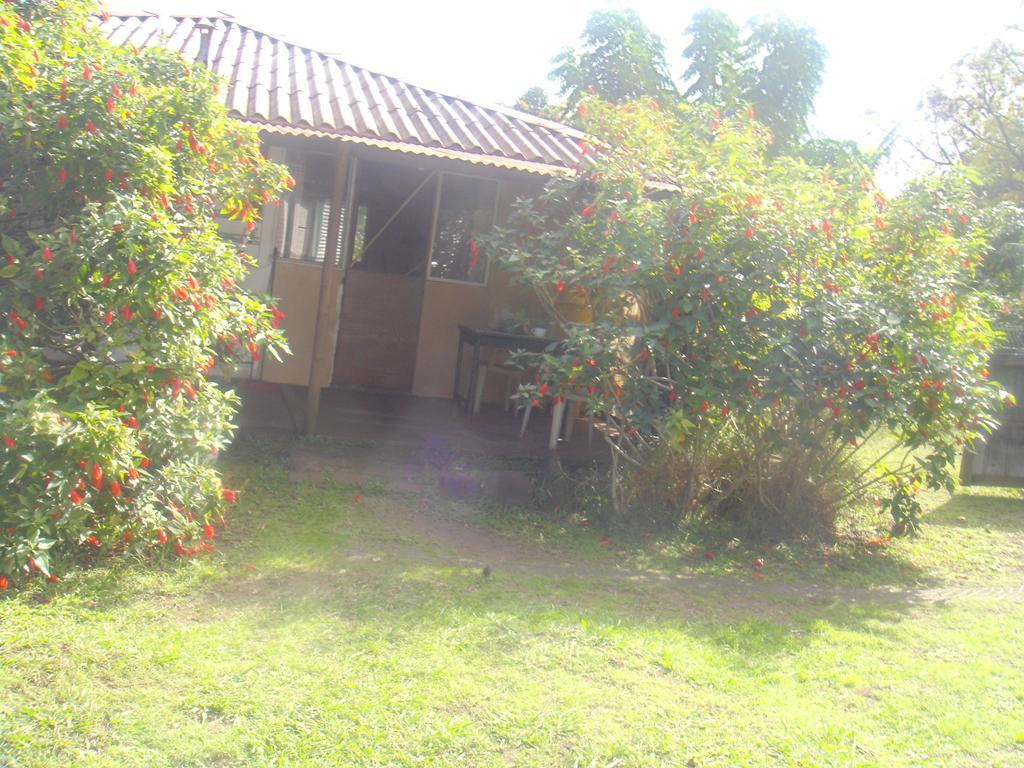 Cabañas Varua Hanga Roa Habitación foto