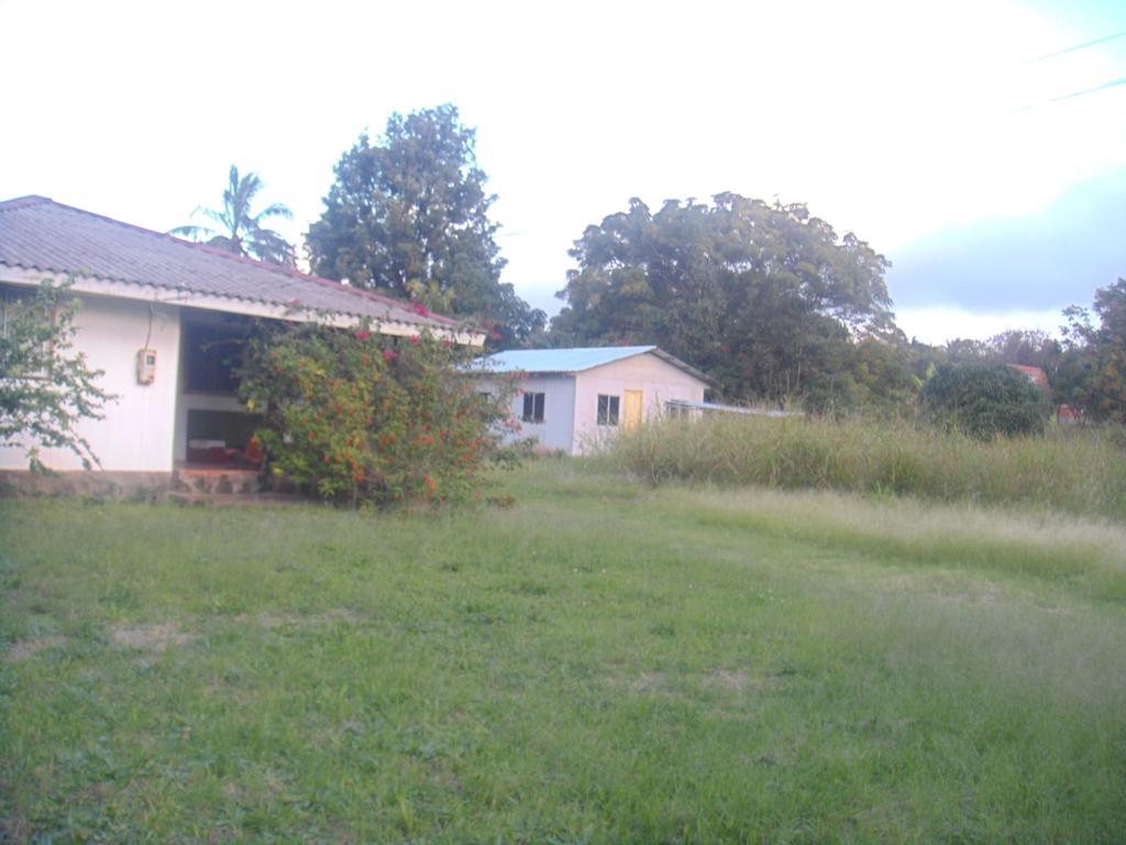 Cabañas Varua Hanga Roa Habitación foto